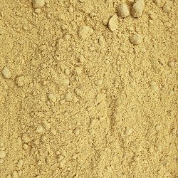 Yellow mustard powde