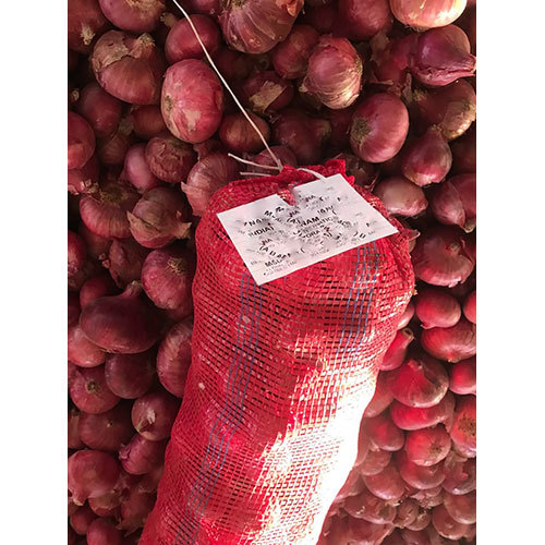 Fresh Red Onion