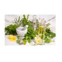 Herbal Pesticides - Herbal Extracts, Powder Form, 250g To 50kg Packaging | Complete Protection, Easy Application, Effective Against Fungal Diseases
