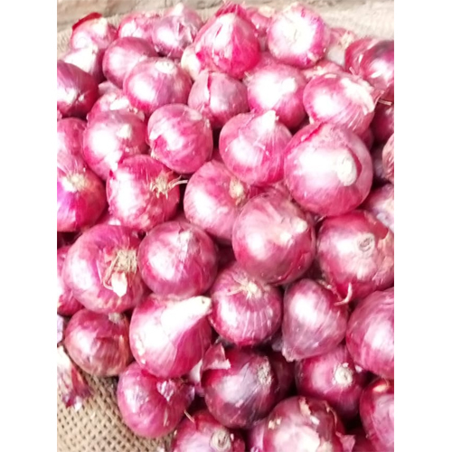 Red Onion