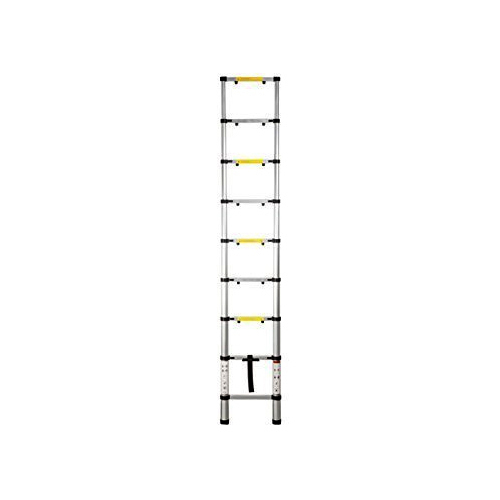 Silver Telescopic Ladder