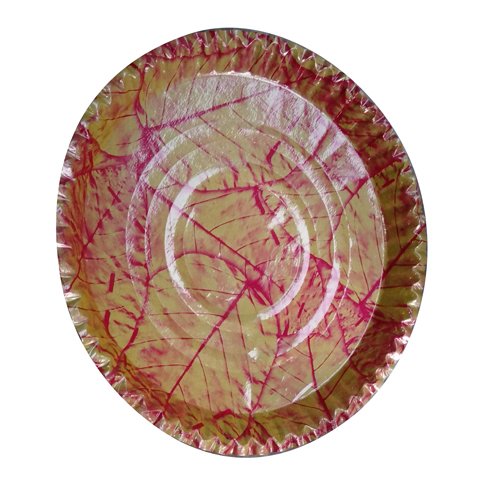 Disposable Paper Plate