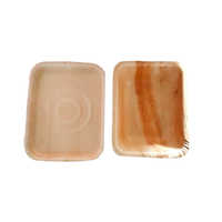 Areca  Disposable Lunch Box