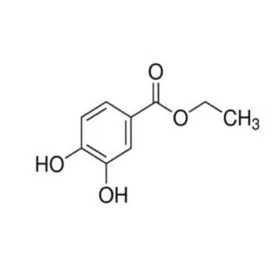 Ethyl 3,4-Dihydroxy Benzoate Cas No: 3943-89-3