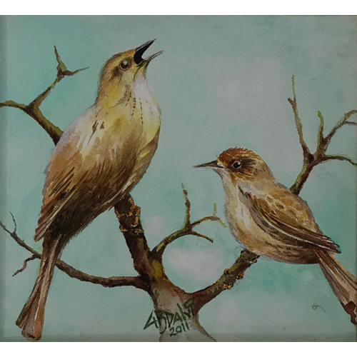 Birds