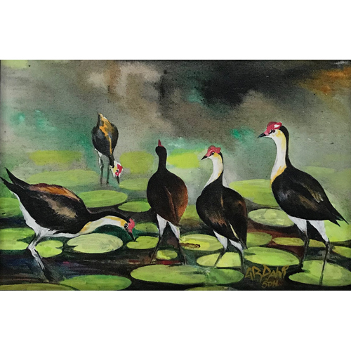 Birds
