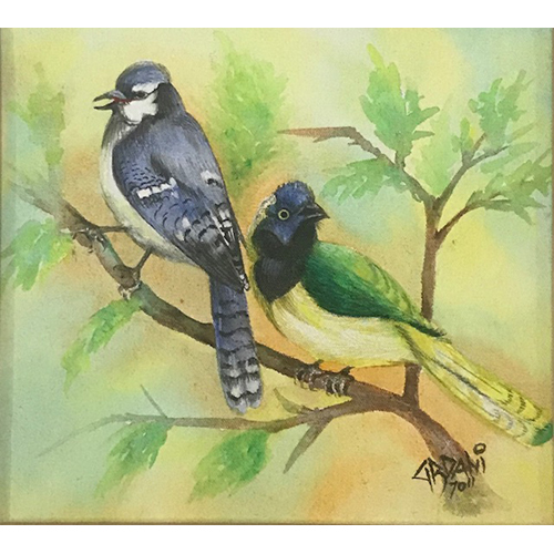 Birds