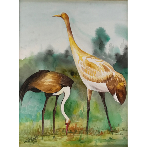 Birds Medium: Water Color