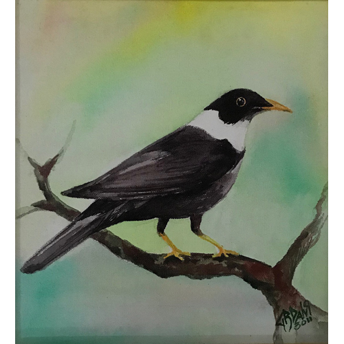 Animal Paintings Medium: Water Color