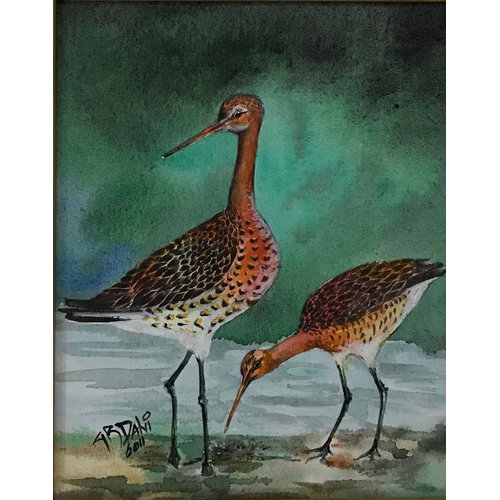Wooden Birds