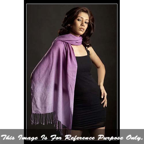 Purple Ladies Shaded Pashmina Shawl
