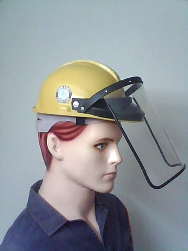 Helmet with Face Shield