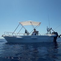 Liya 5.0m/16.4 Ft Fiberglass Fishing Boat Frp Sports Motor Boats For Sale