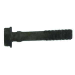 Round Crown Chappa Bolt