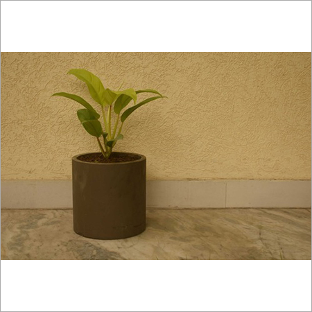 Concrete Designer Planters