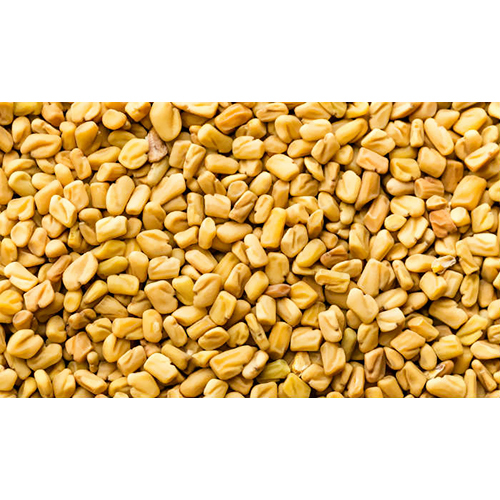 Fenugreek Seeds