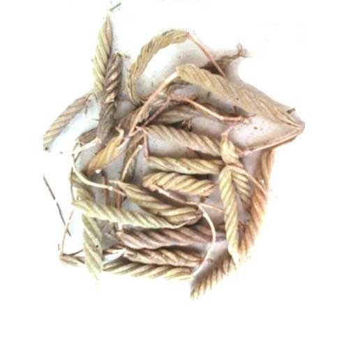Helicteres Isora Indian Screw Marod Phalli Age Group: For Adults