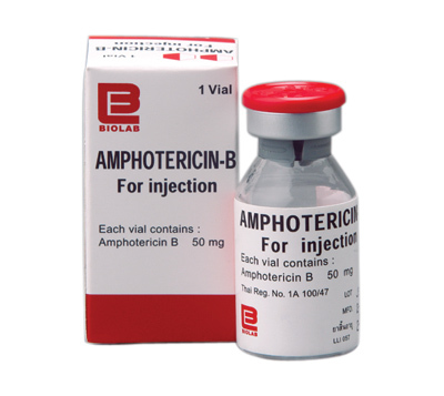 Amphotericin b