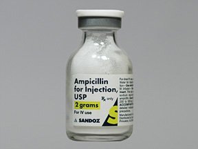 Ampicillin Injection