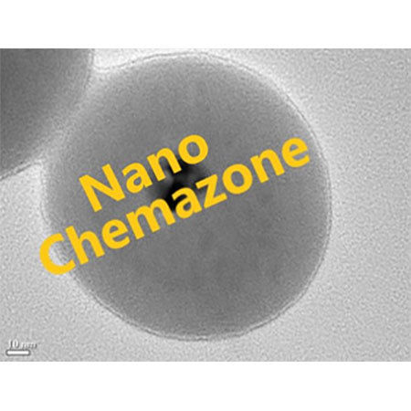 Silica Core Shell Nanoparticles