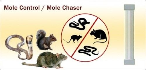 Mole Control