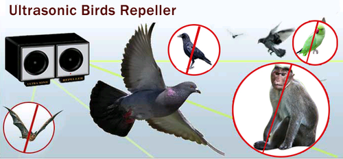 Bird Repeller