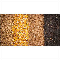 Organic Food Grains