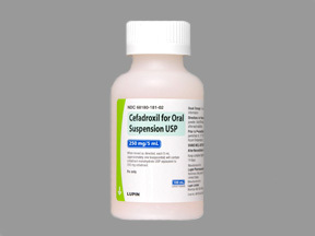 Cefadroxil Monohydrate