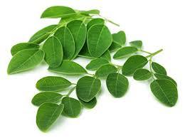 Moringa Leaves