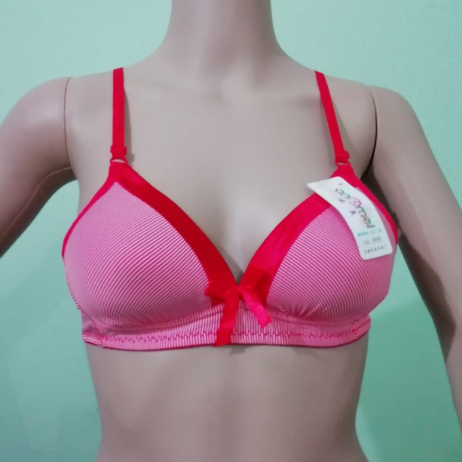 Padded Bra - Smooth Microfiber, Size 32-38 | Padded Demi Coverage, Silicon Free, Fully Adjustable Straps, Broad Wing Band