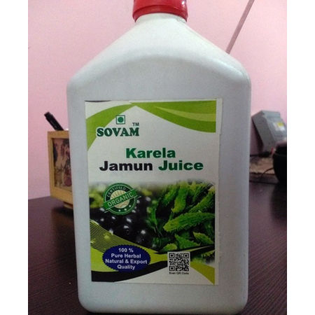 Karela Jamun Juice - Premium Quality | Nutrient-Rich, All-Natural Wellness Beverage, Boosts Immunity, Supports Digestion