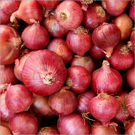 Red Onion