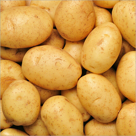 Fresh Potato
