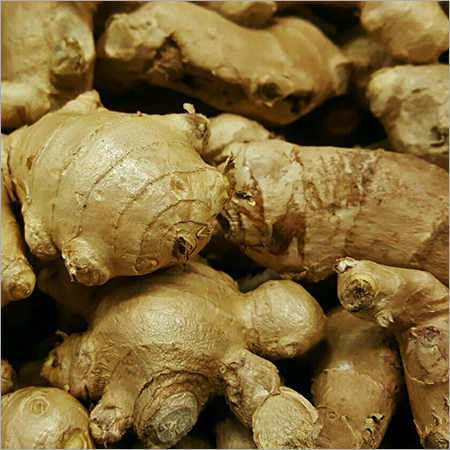 Ginger