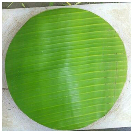 Banana Leaf Plate
