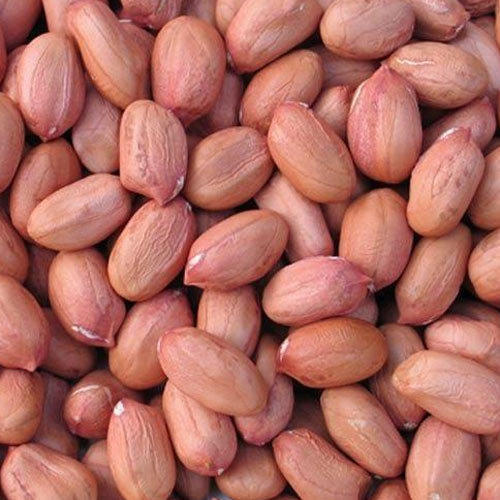 Peanuts Kernels - Normal Cultivation Balanced Taste | Nutritious Snack Rich in Protein May Help Prevent Diabetes Boosts Memory Promotes Healthy Skin
