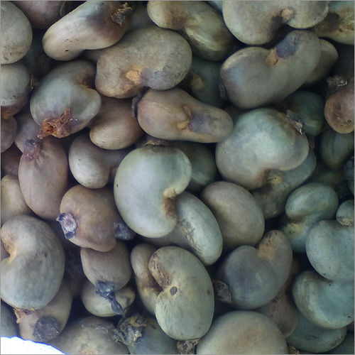 Raw Cashew Nuts