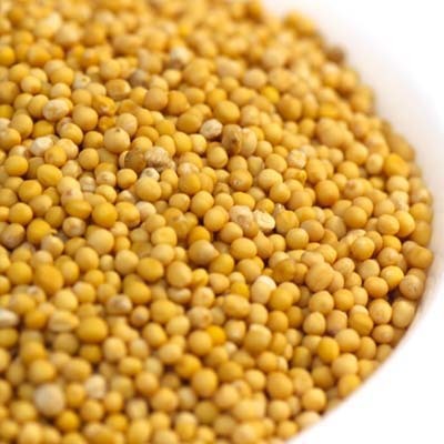 Mustard Seeds