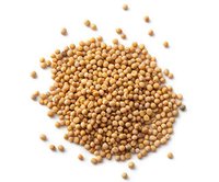 Mustard Seeds