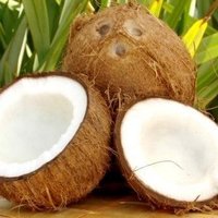 Fresh Coconuts