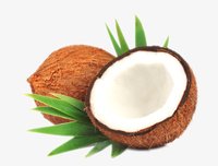 Fresh Coconuts