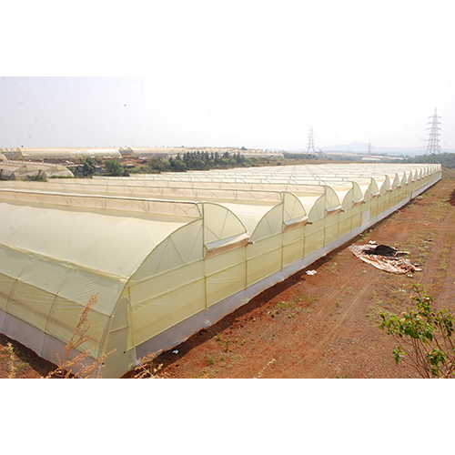 Naturally Ventilated Poly Greenhouse