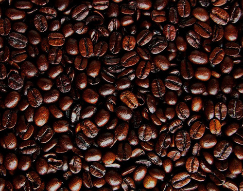 Coffee Bean