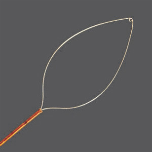 Stent Removing Snare