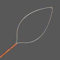 Stent Removing Snare
