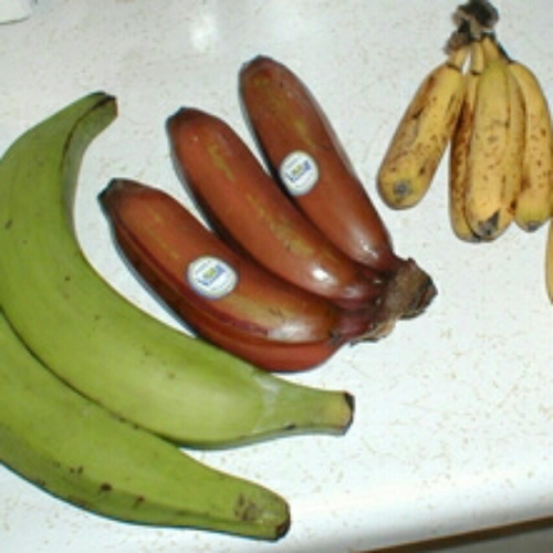 Fresh Banana