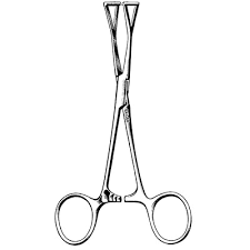 DUAL LUNG HOLDING FORCEPS BIG