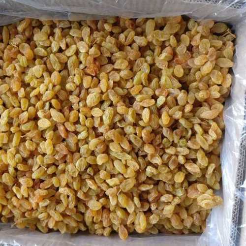 Raisins Medium Thomson Raisins Medium Thomson