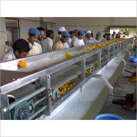 Mango Processing Line