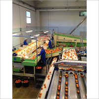 Fruit Juice Processing Line Capacity: 500 - 10000 Kg/hr